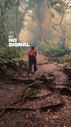 NO SIGNAL
