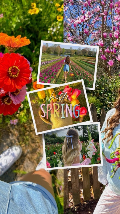 HOLA FOTO DE PRIMAVERA 🌸