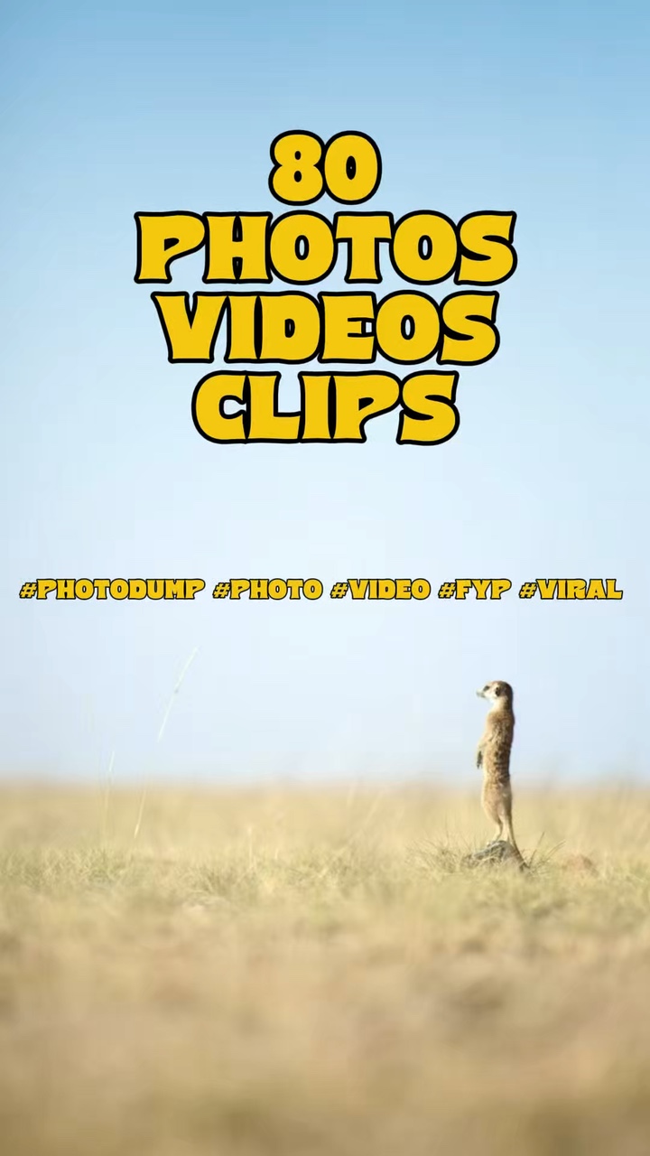 80 fotos videos