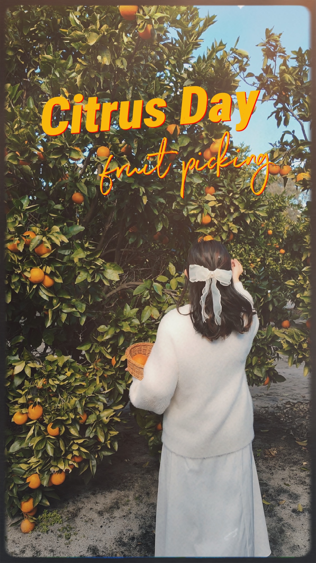 Citrus Day🍊