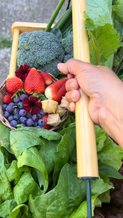 Berkebun