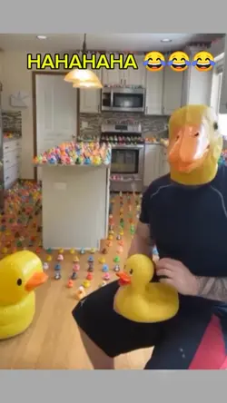 Duck 