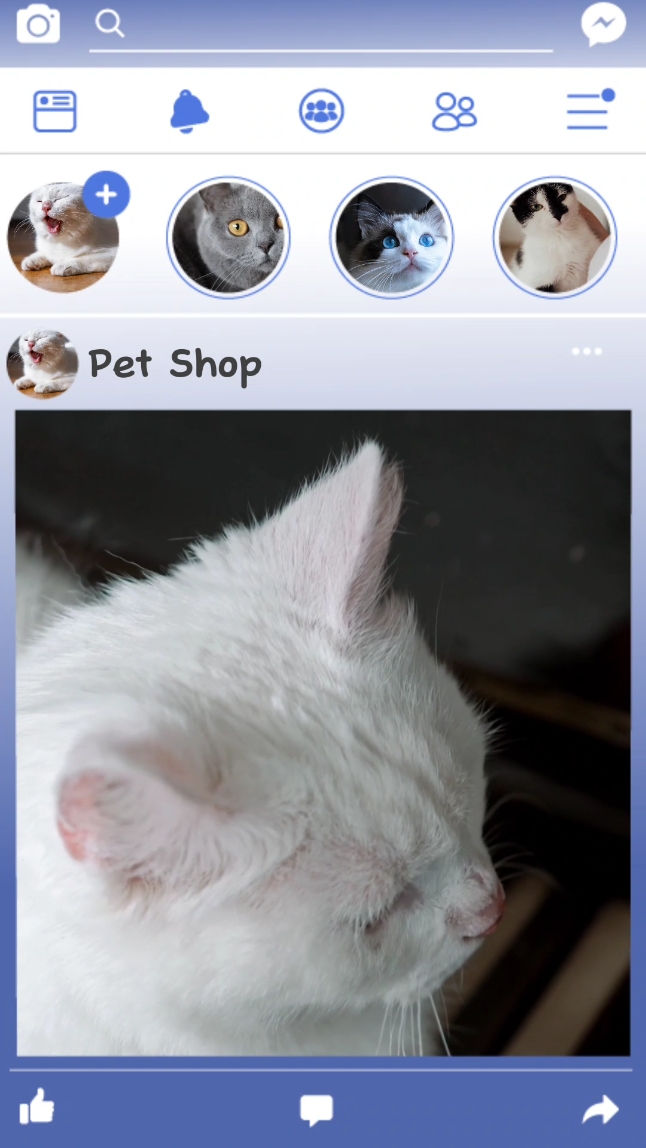Pet Shop Exibição do produto Estilo TikTok