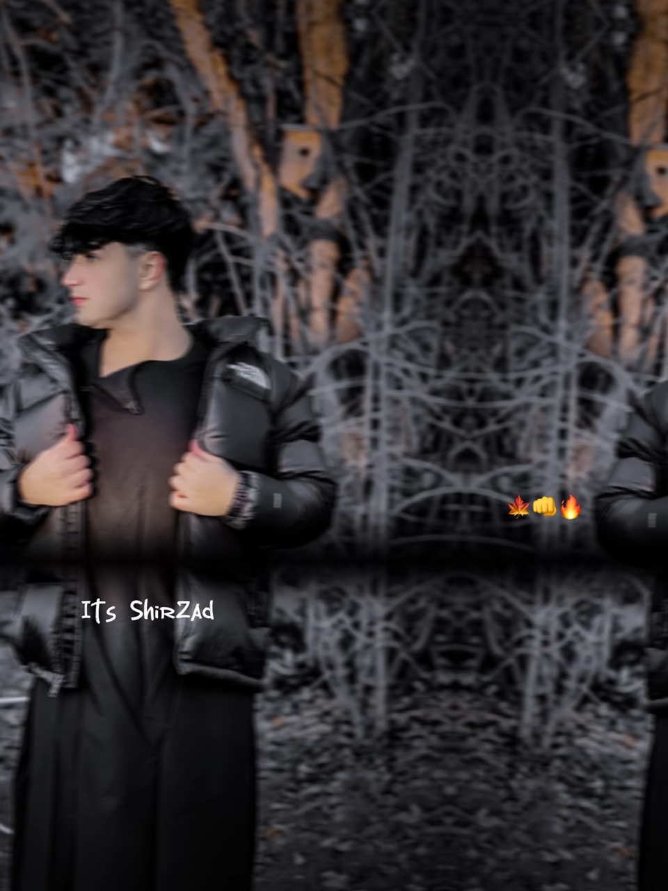 Cover Picture