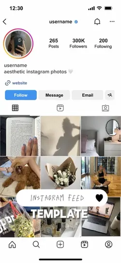 insta fee