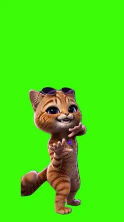 Cat/Gato.