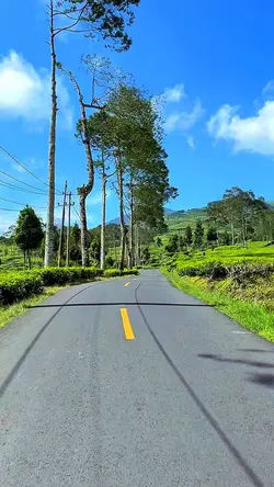 7 video klip travel