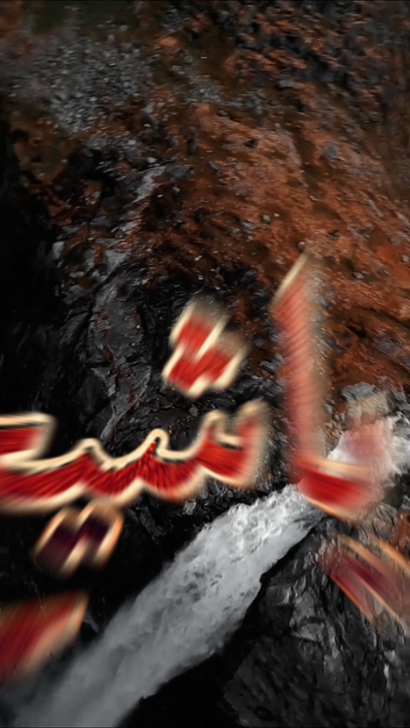 ياشيخ الشباب 