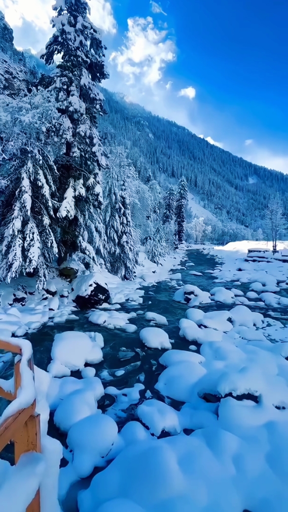 Caída de nieve 