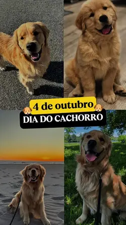 4 de outubro