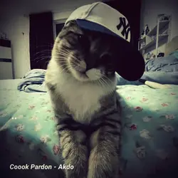 cook pardon