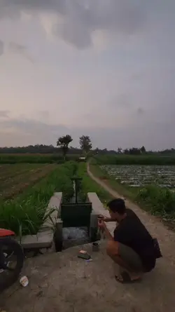 pesona balap ontel