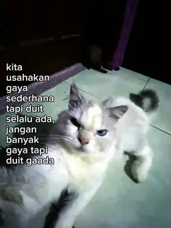 foto live kata kata
