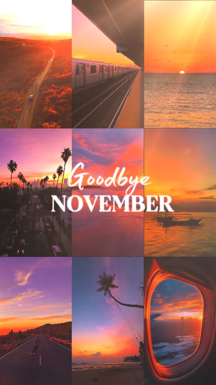 Adiós noviembre. 