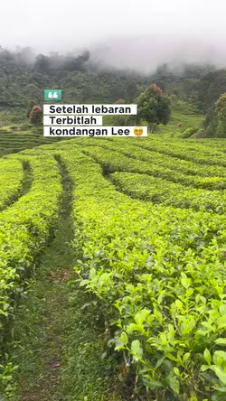 Terbitlah kondangan