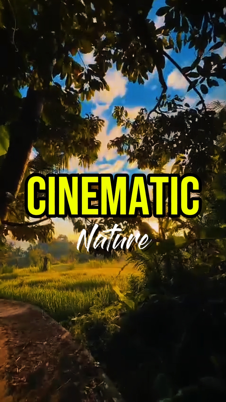 Cinematic