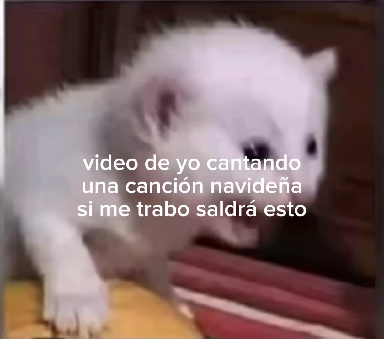 cante bien feo