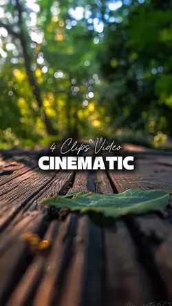 4 CLIPS VIDEO 