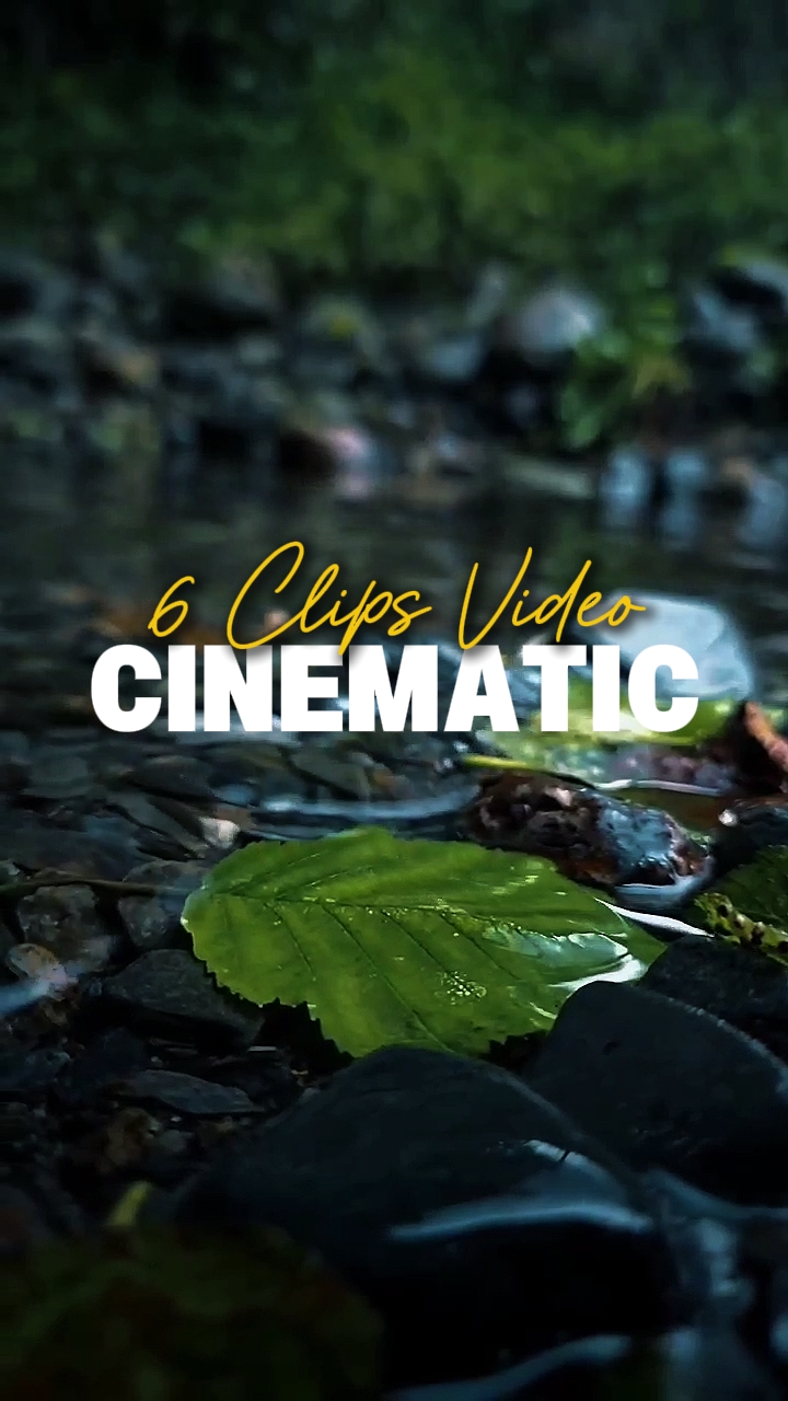 6 Clips de Video