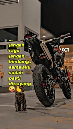 ramaikan
