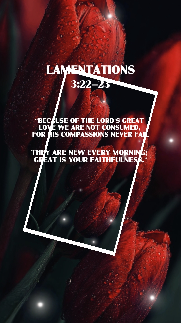 Lamentações 3: 22 23