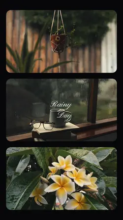 Rainy day