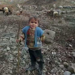 zaten köylüymde neys