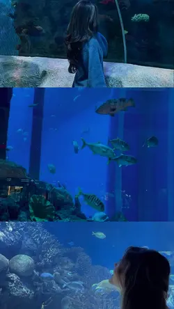 aquarium vlog