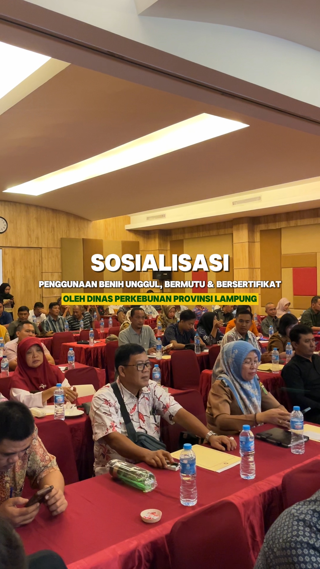Sosialisasi & rapat