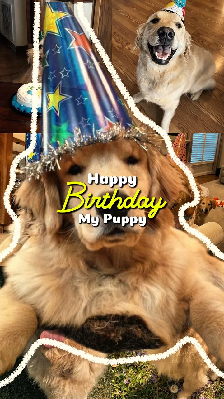 Cumpleaños mi cachorro 🐶 