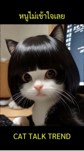 หนูไม ่ เ▽ ้ าใจเลsteam