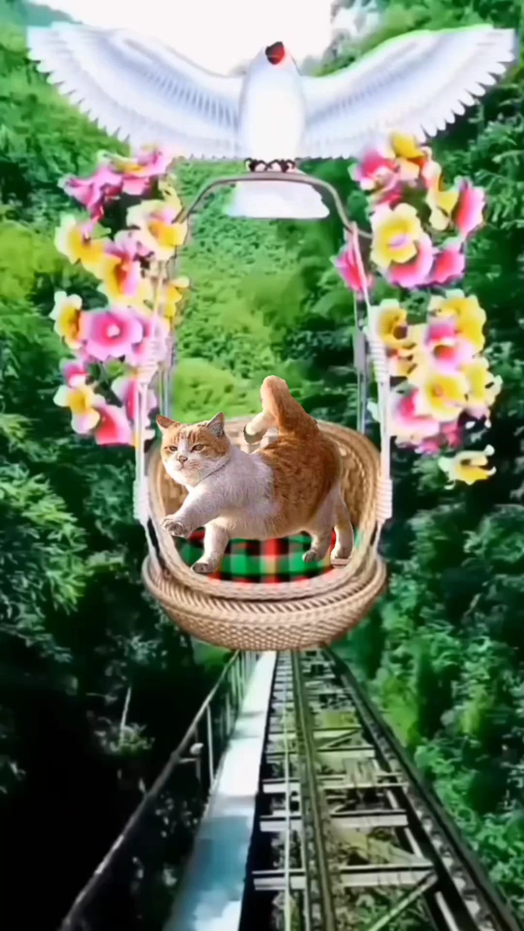 Flying 