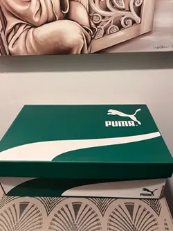 Puma RW1