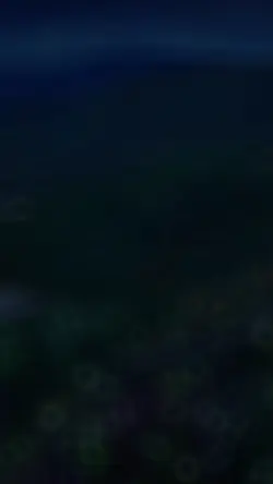 生活又什麼可比的呢 ?