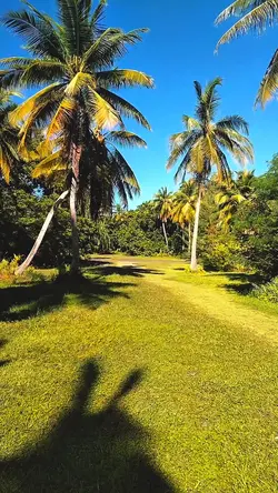 NATURE -5