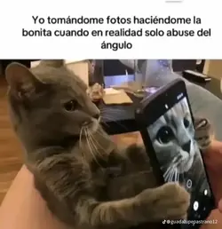 Tu foto 😻🫦