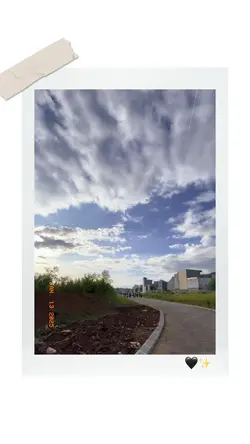 Video polaroid