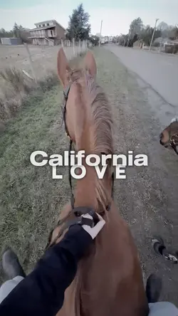 California l o v e π
