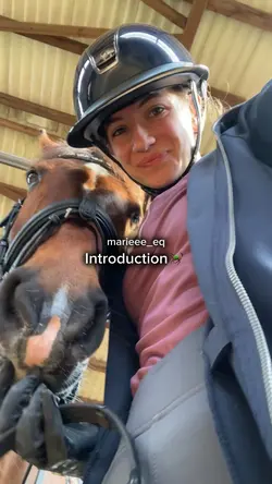 Introduction🐎