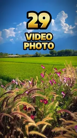 29 video or photo