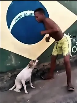 new viral troll tren