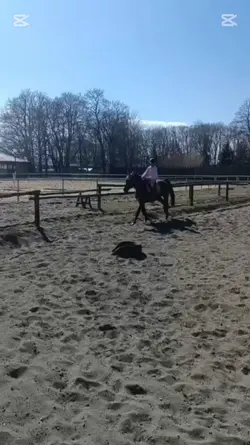 wtorek