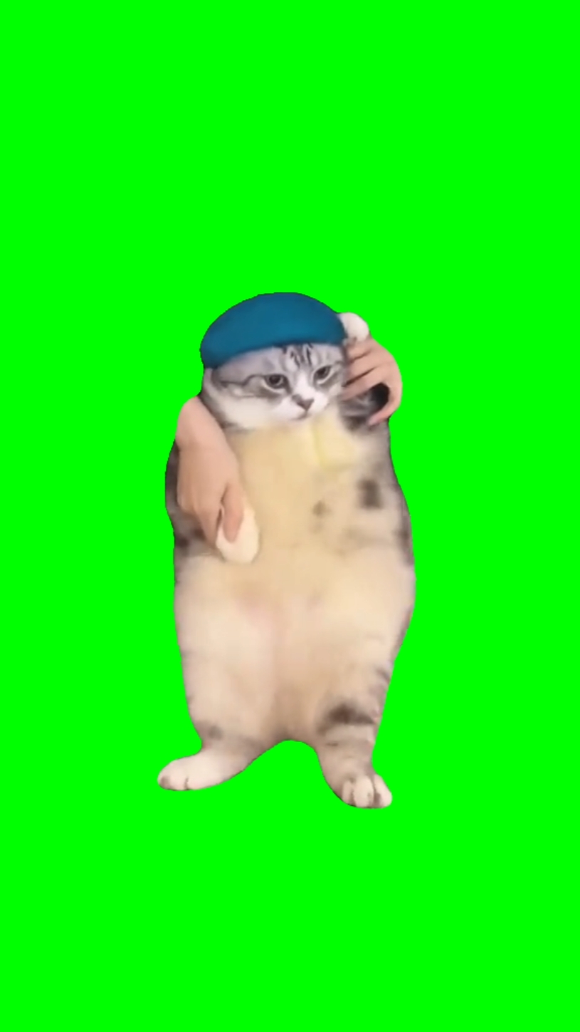 Girlfriend Cat