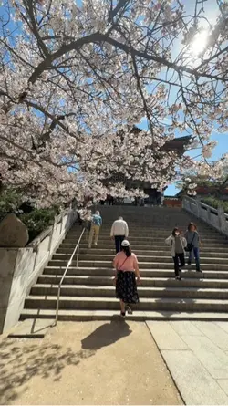 頑張ろう