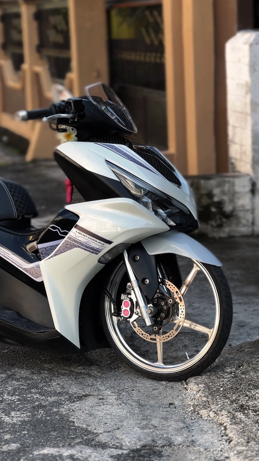 Cover Picture