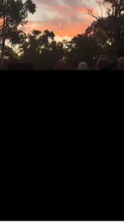 Recap Reel