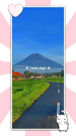 mini vlog