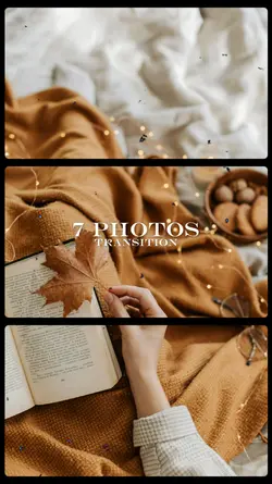 7 Photos Transition
