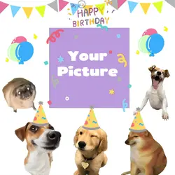 DOGS HAPPY BIRTHDAY