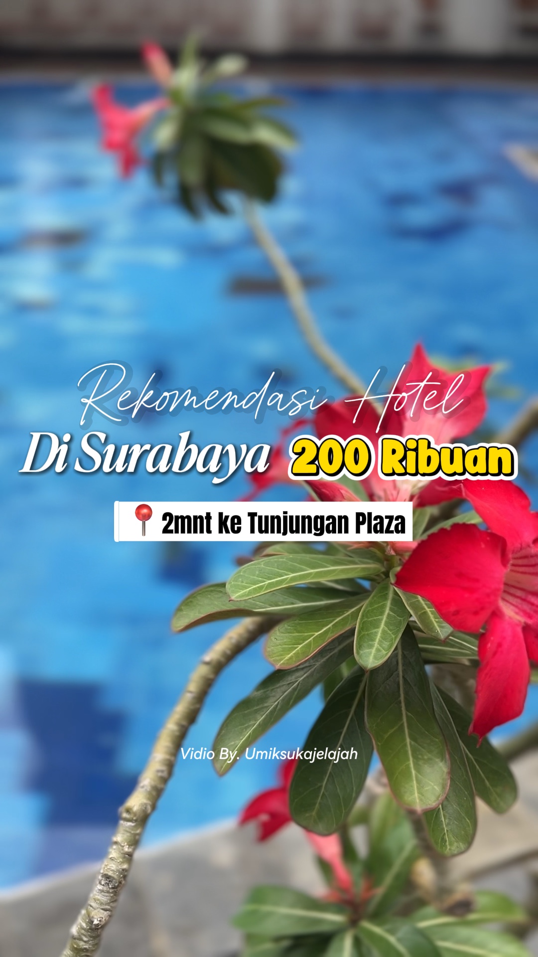 Ulasan Hotel